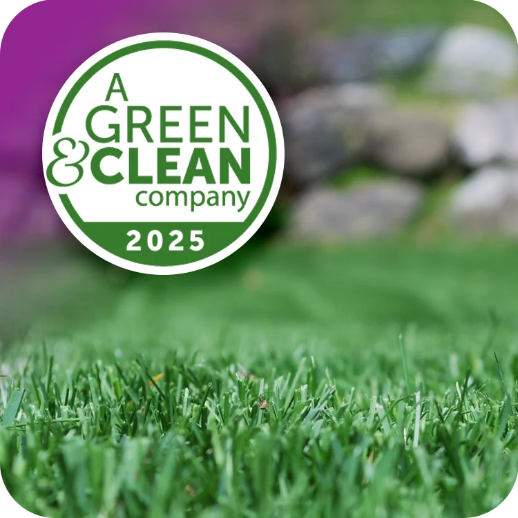 Green & Clean Company 2025