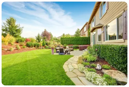 healthy green backyard