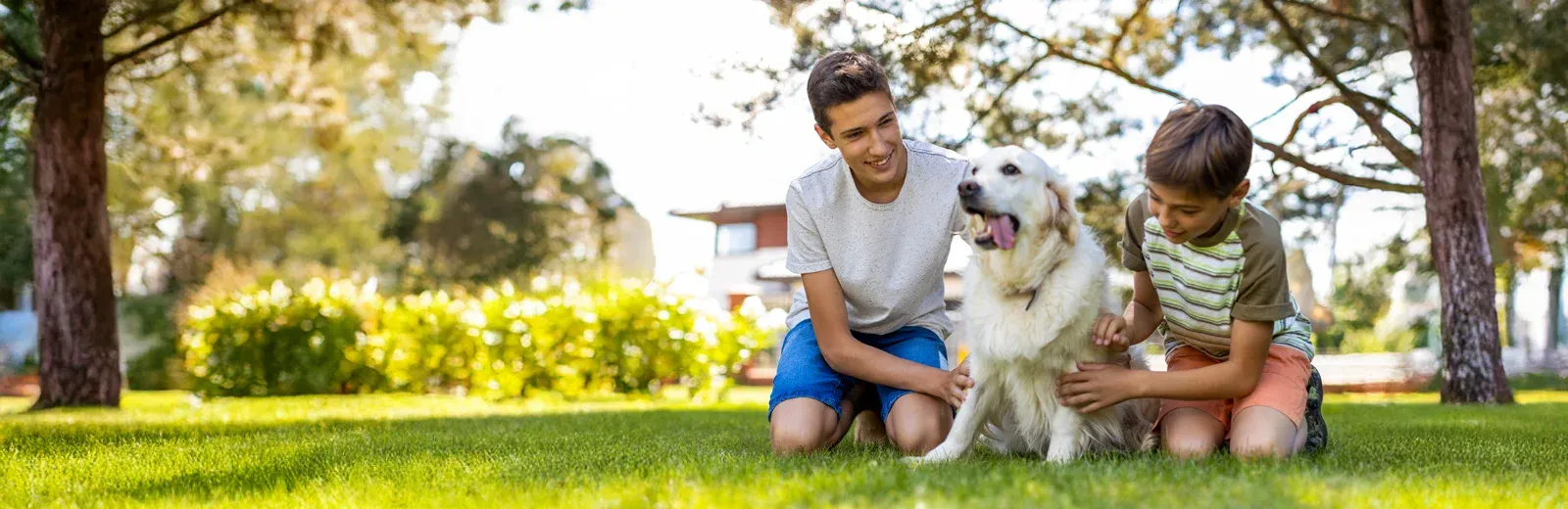 kids playing with dog outside