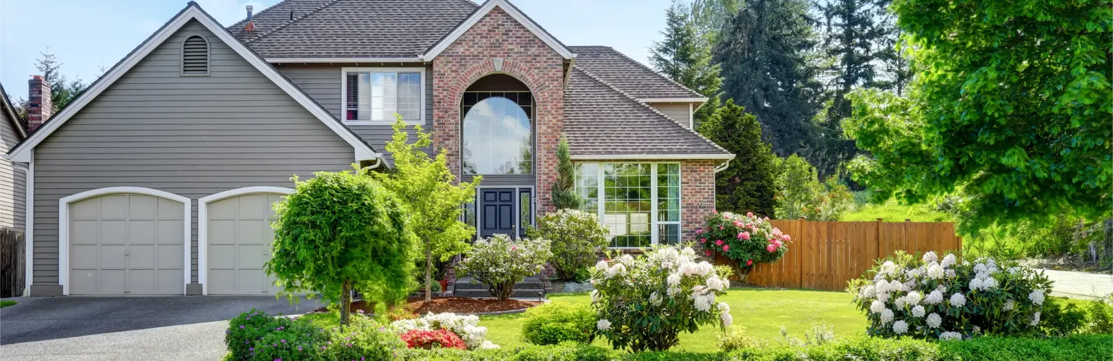house with beautiful trees and shrubs