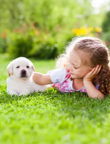 Girl playing with dog outside