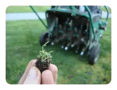 aeration lawn care