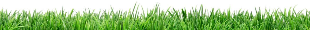 Green Up Lawns & Landscapes - Green Up Lawns & Landscapes