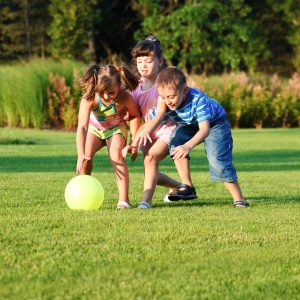 Lawn Care